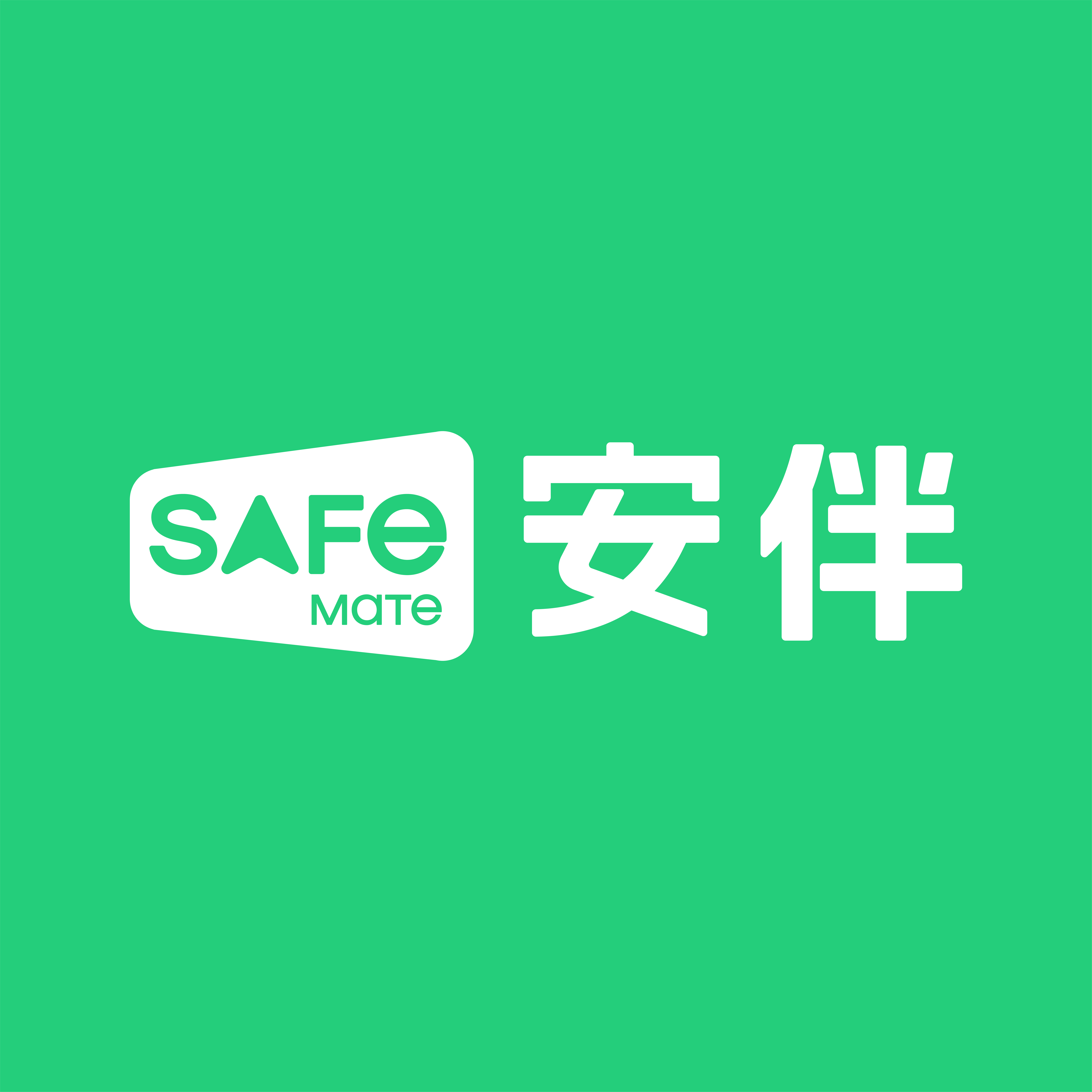 安伴车品旗舰店