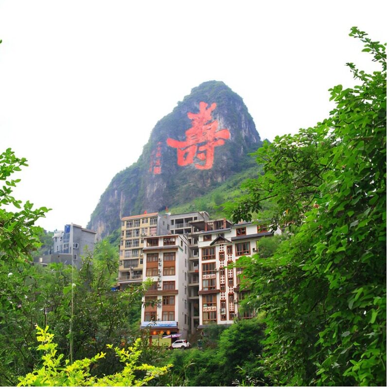 巴马长寿乡特产店