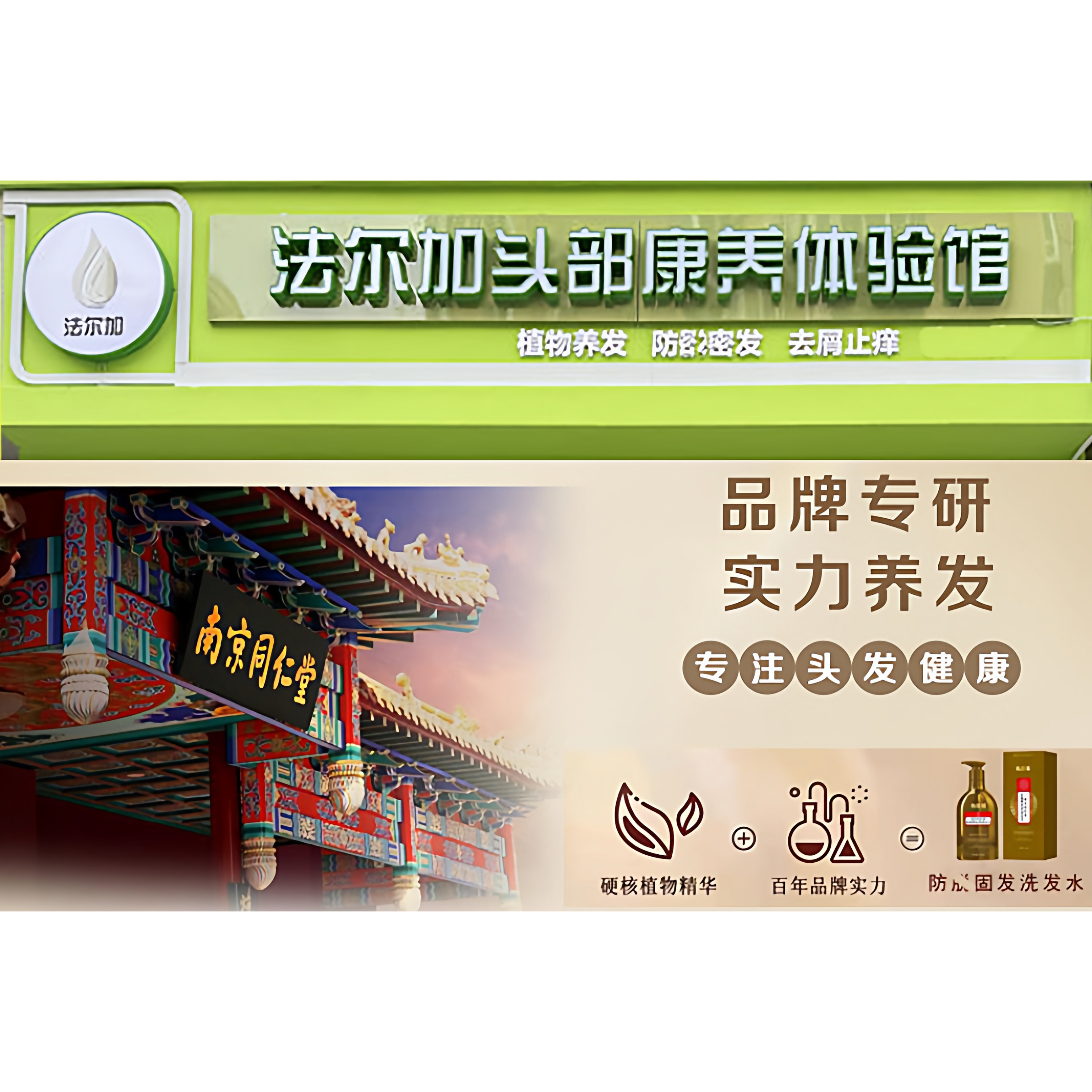 白发养黑实体店