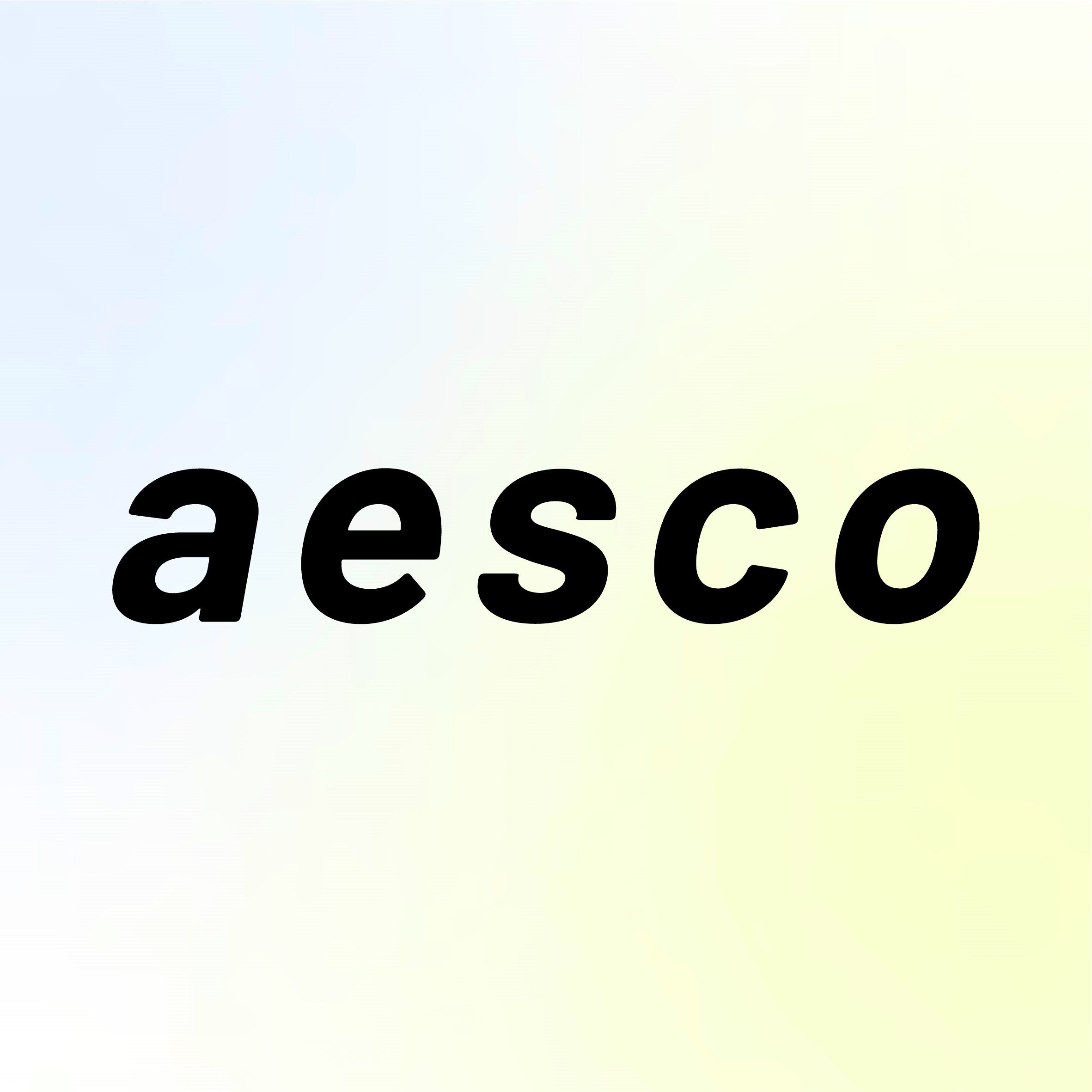 AESCO旗舰店