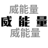 威能量旗舰店