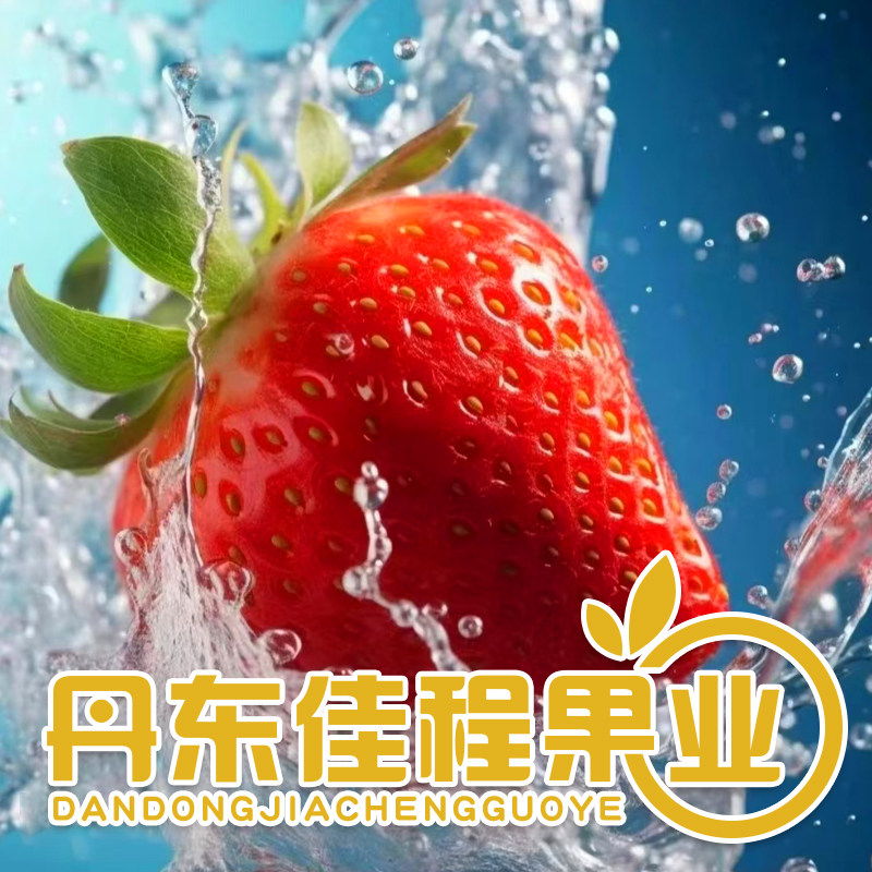 丹东佳程果业 店铺LOGO