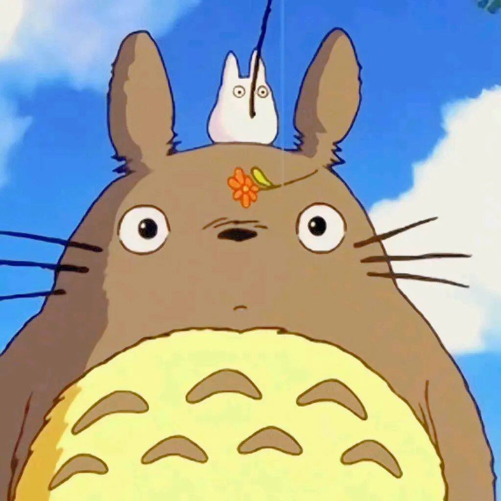 钓猫的大龙鱼