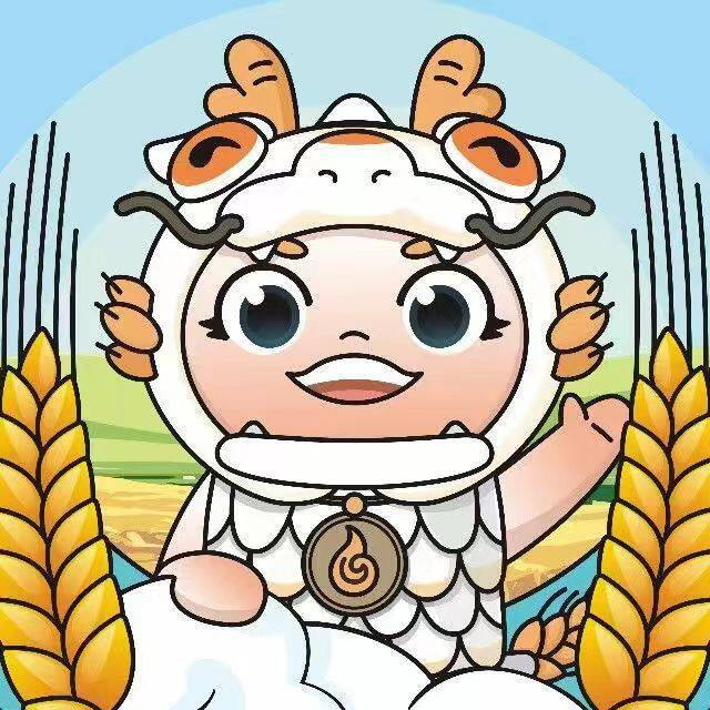 白龙旗舰店