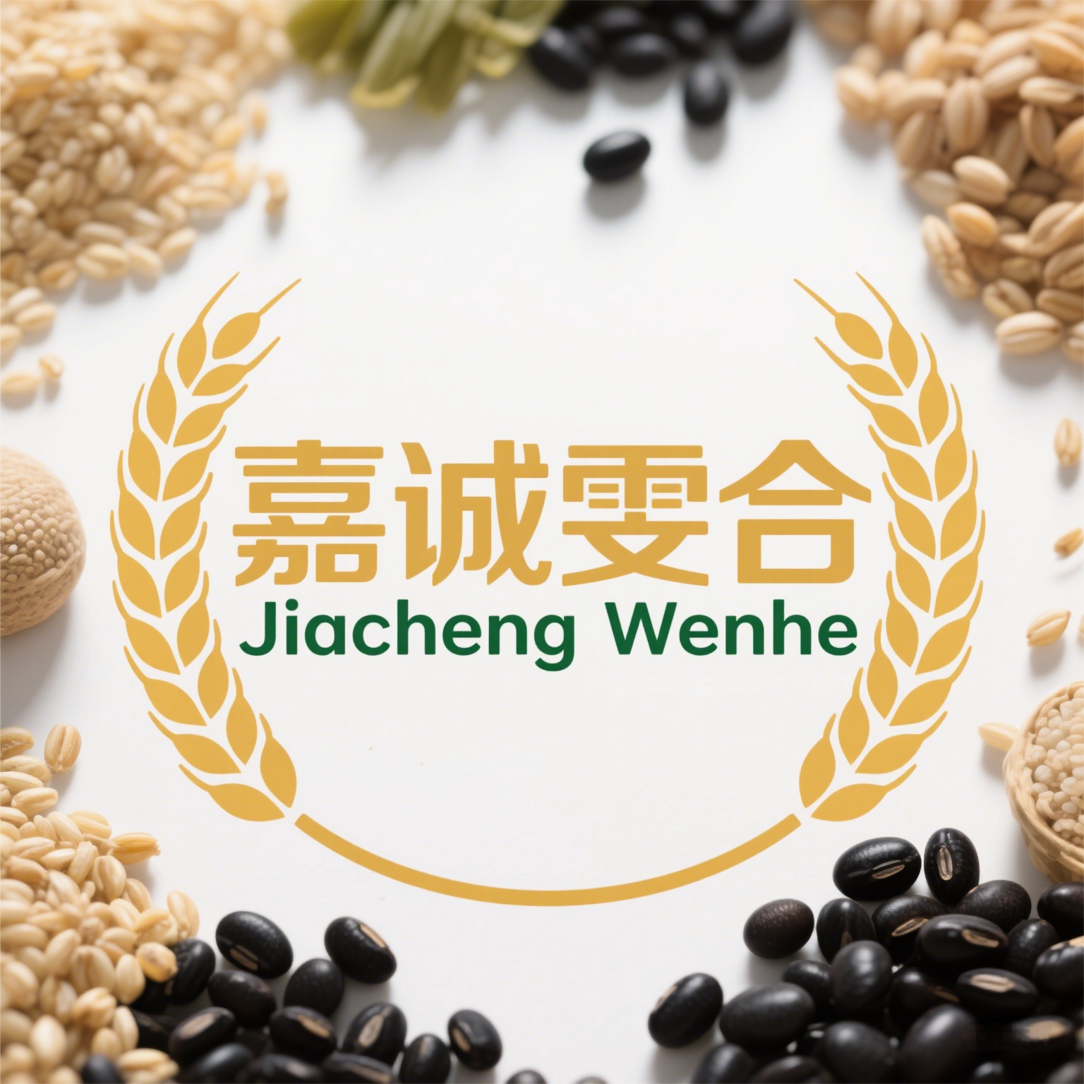 嘉诚雯合食品专营店