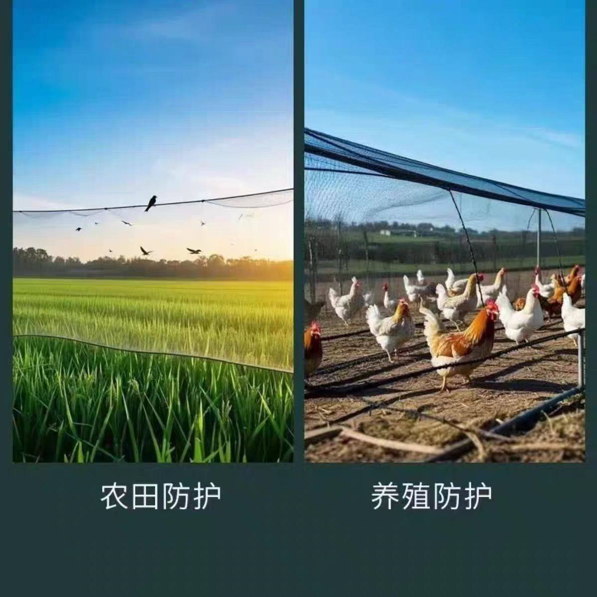 FC5的小店36 店铺LOGO