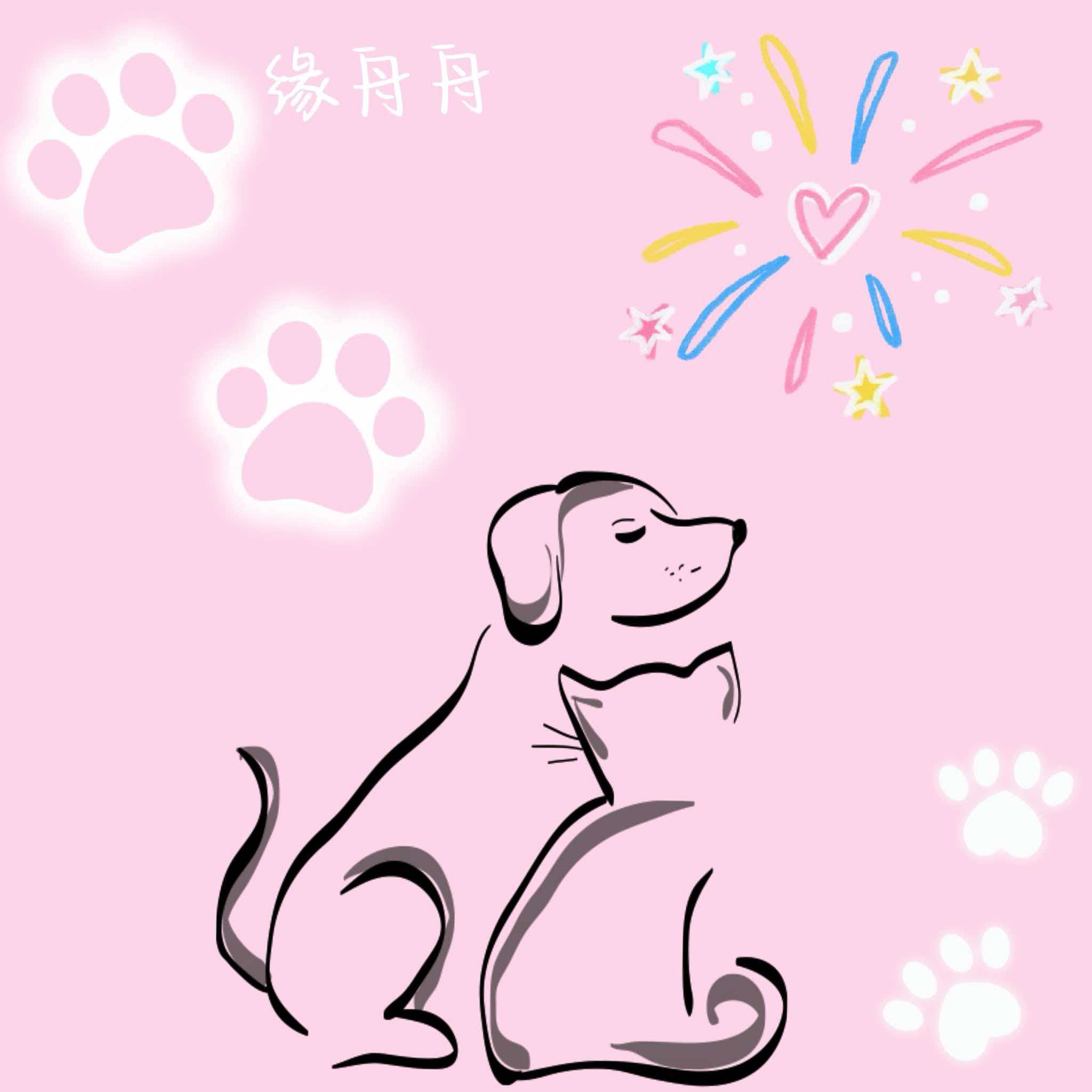 缘舟宠物用品店