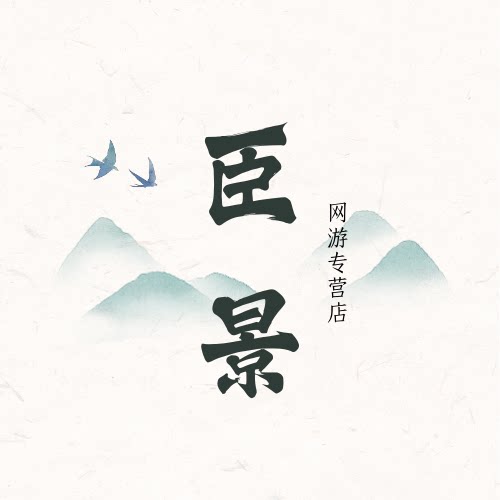 臣景网游专营店