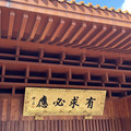 疯狂购物小达人