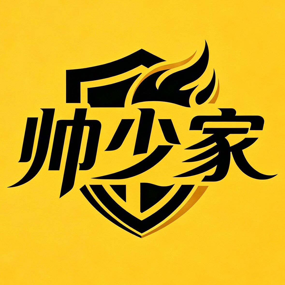 帅少家