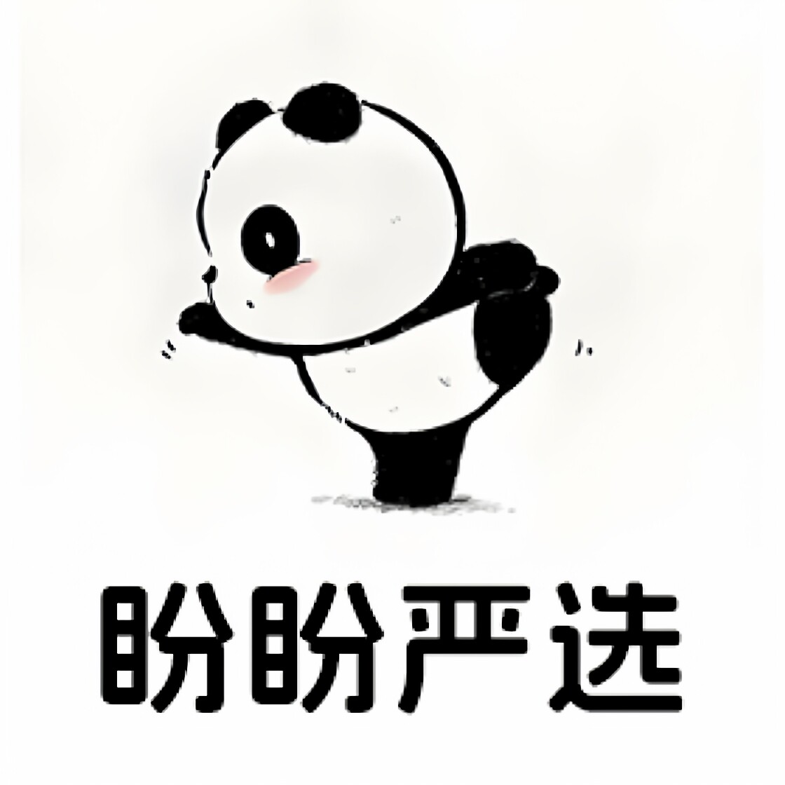 盼盼严选