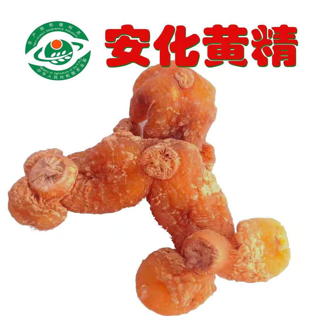 安化多花黄精馆