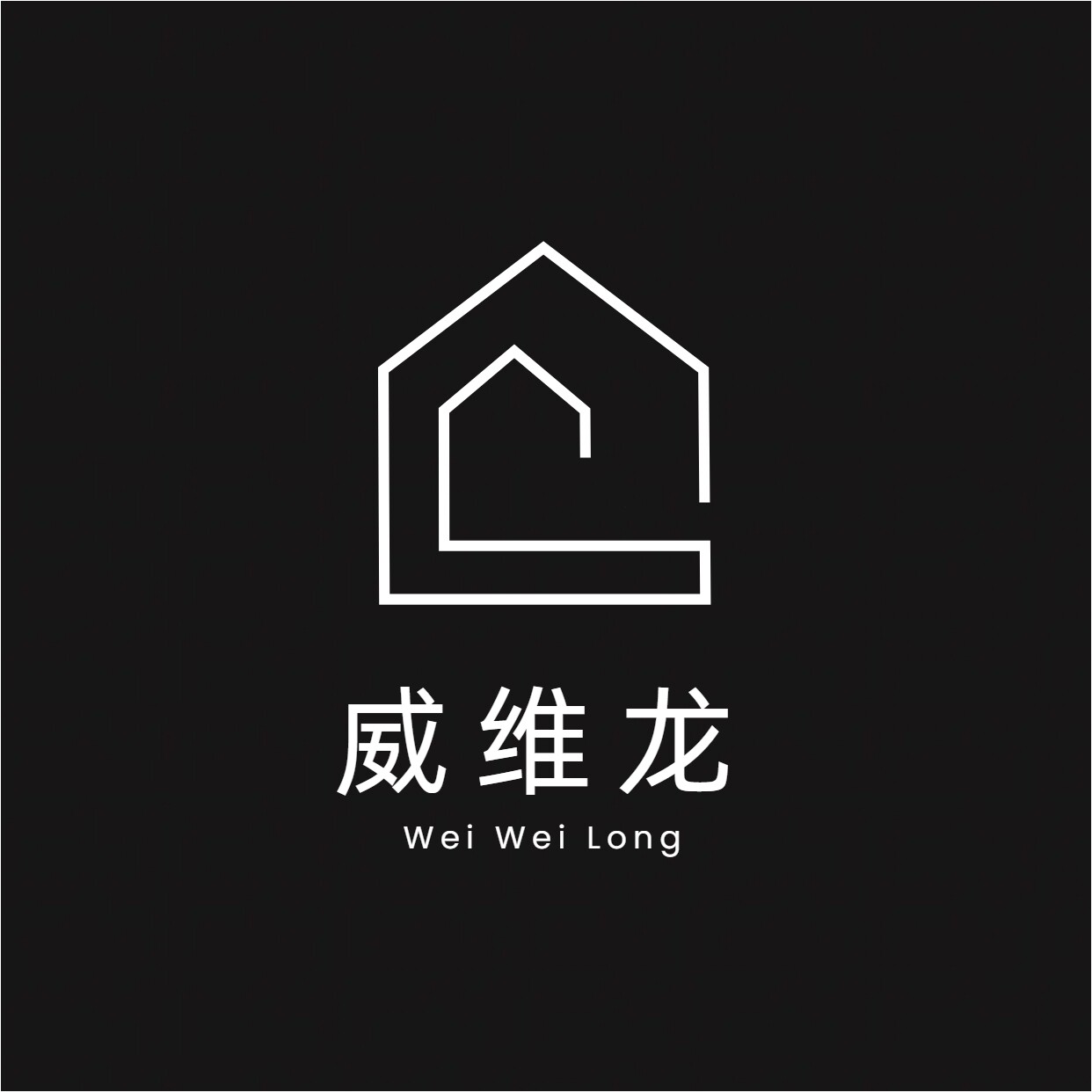 威维龙旗舰店 店铺LOGO