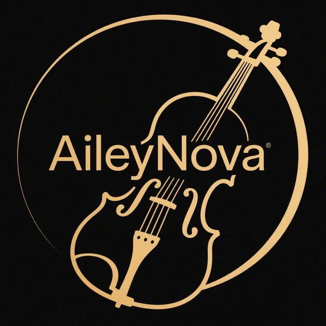 AileyNova乐器旗舰店