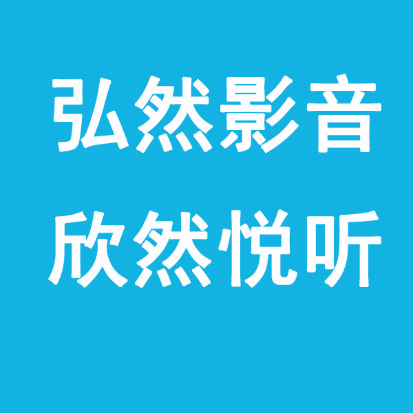 弘然影音专营店