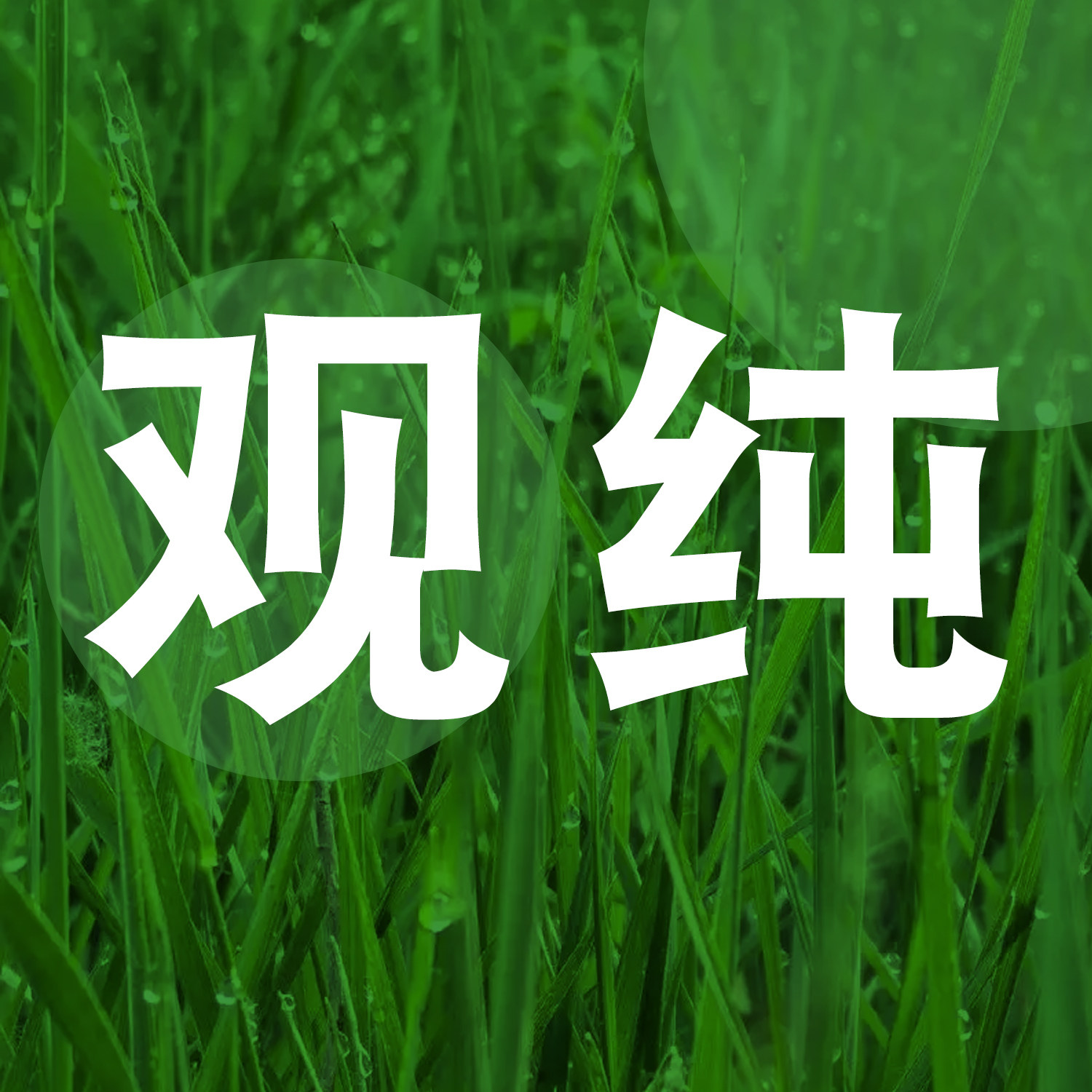 观纯自然之道