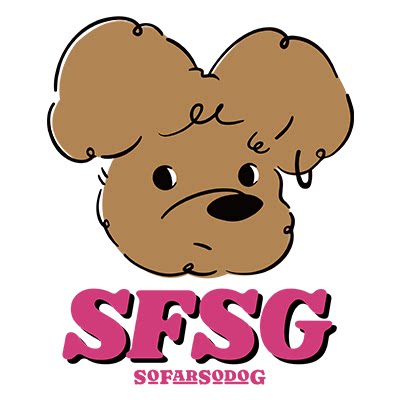 SFSG旗舰店