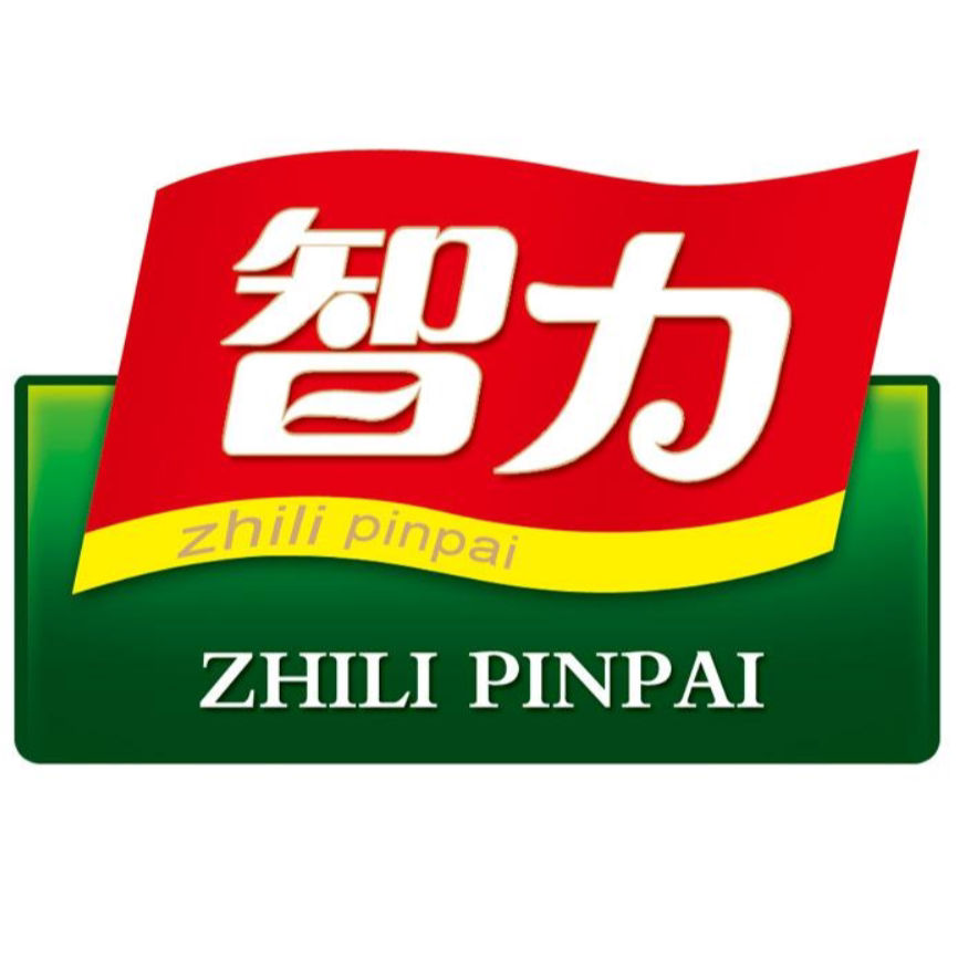 智力天隆专卖店
