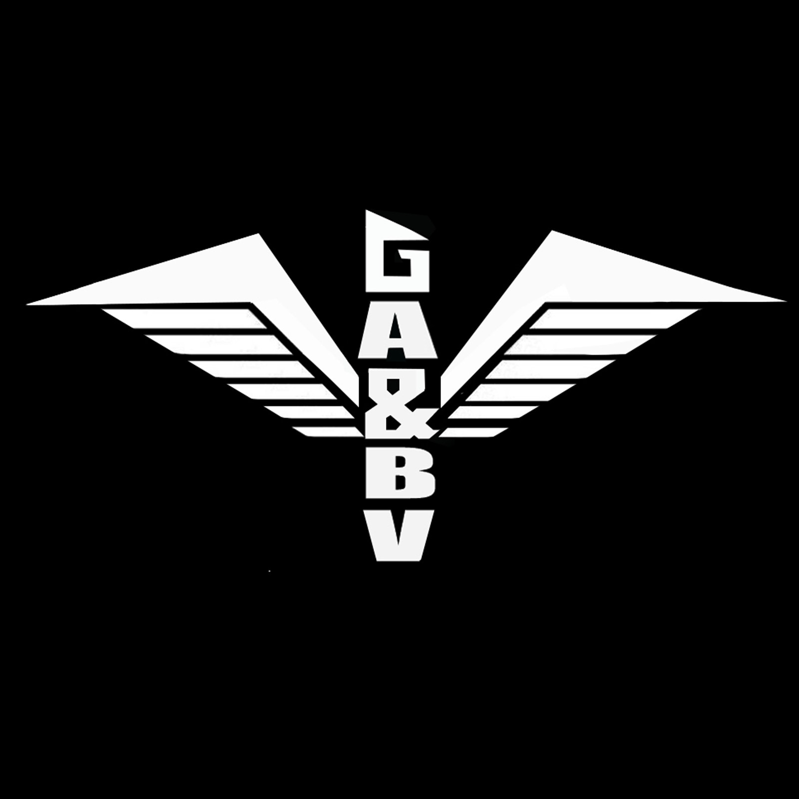 GA&BV旗舰店 店铺LOGO