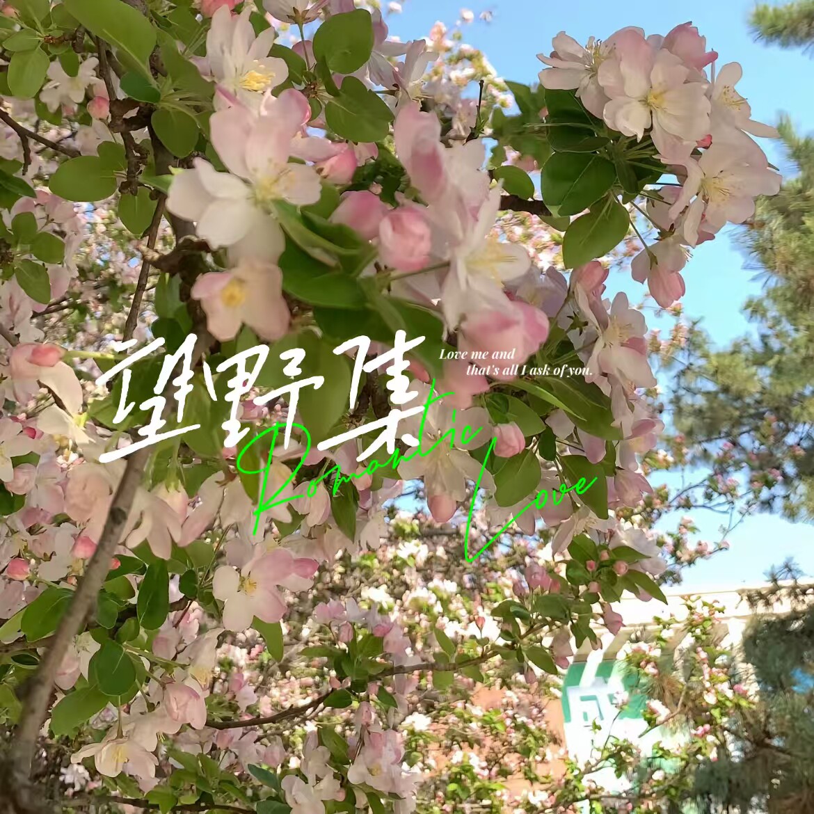 望野集i
