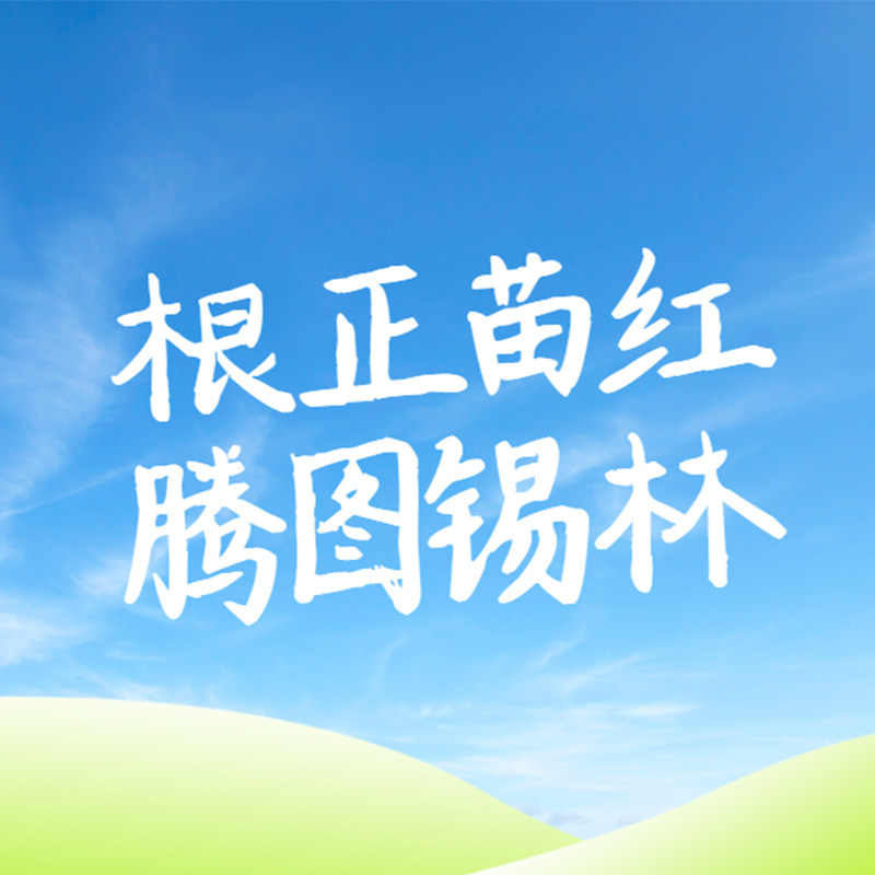 腾图锡林食品旗舰店