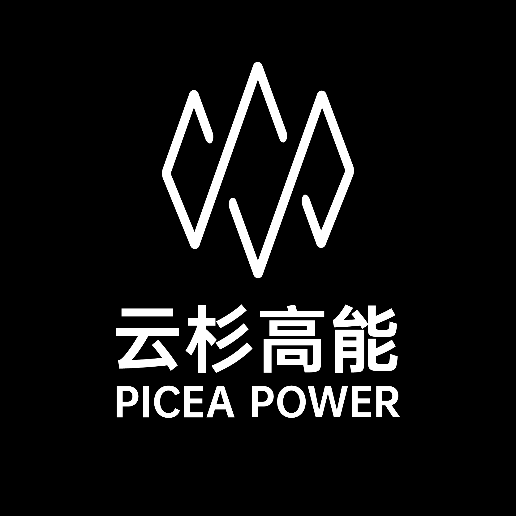 PICEA POWER旗舰店