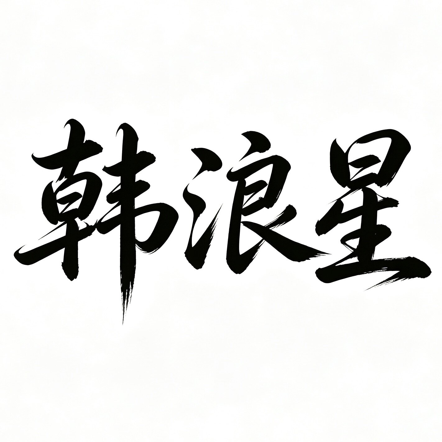韩浪星旗舰店