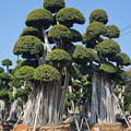 好景园