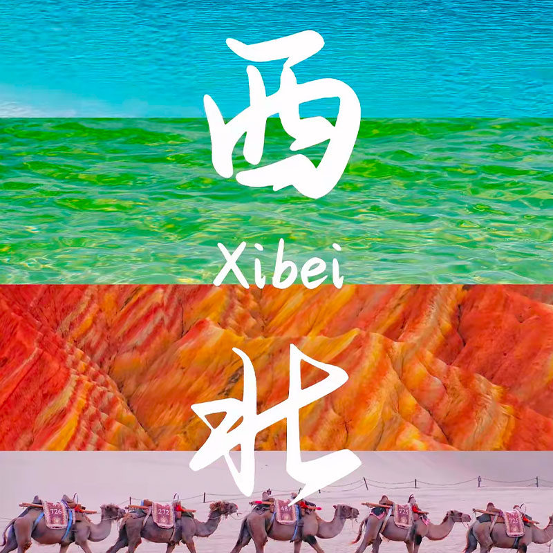 西北乡味 店铺LOGO