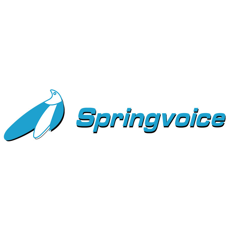 Springvoice旗舰店