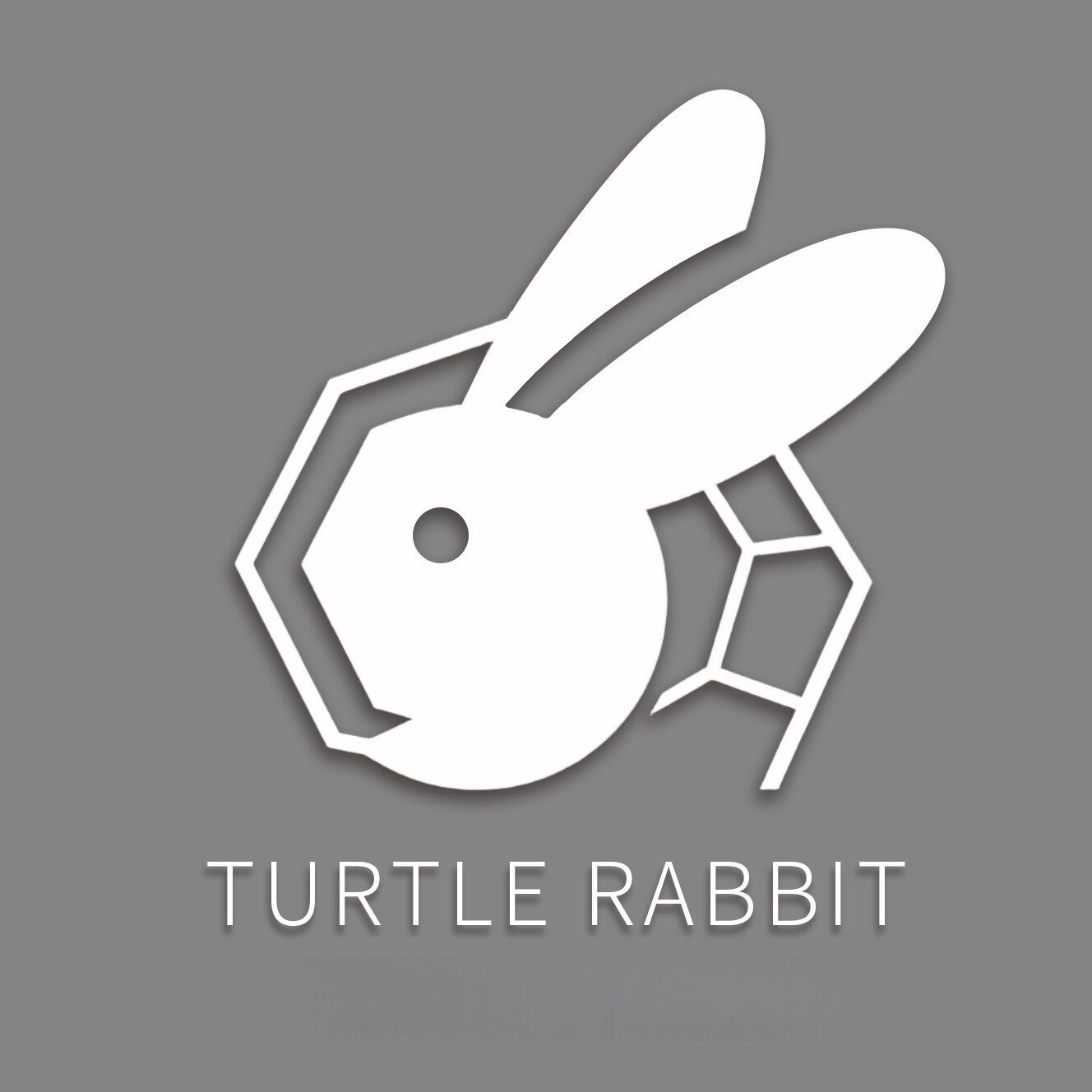 龟兔兄弟旗舰店 店铺LOGO