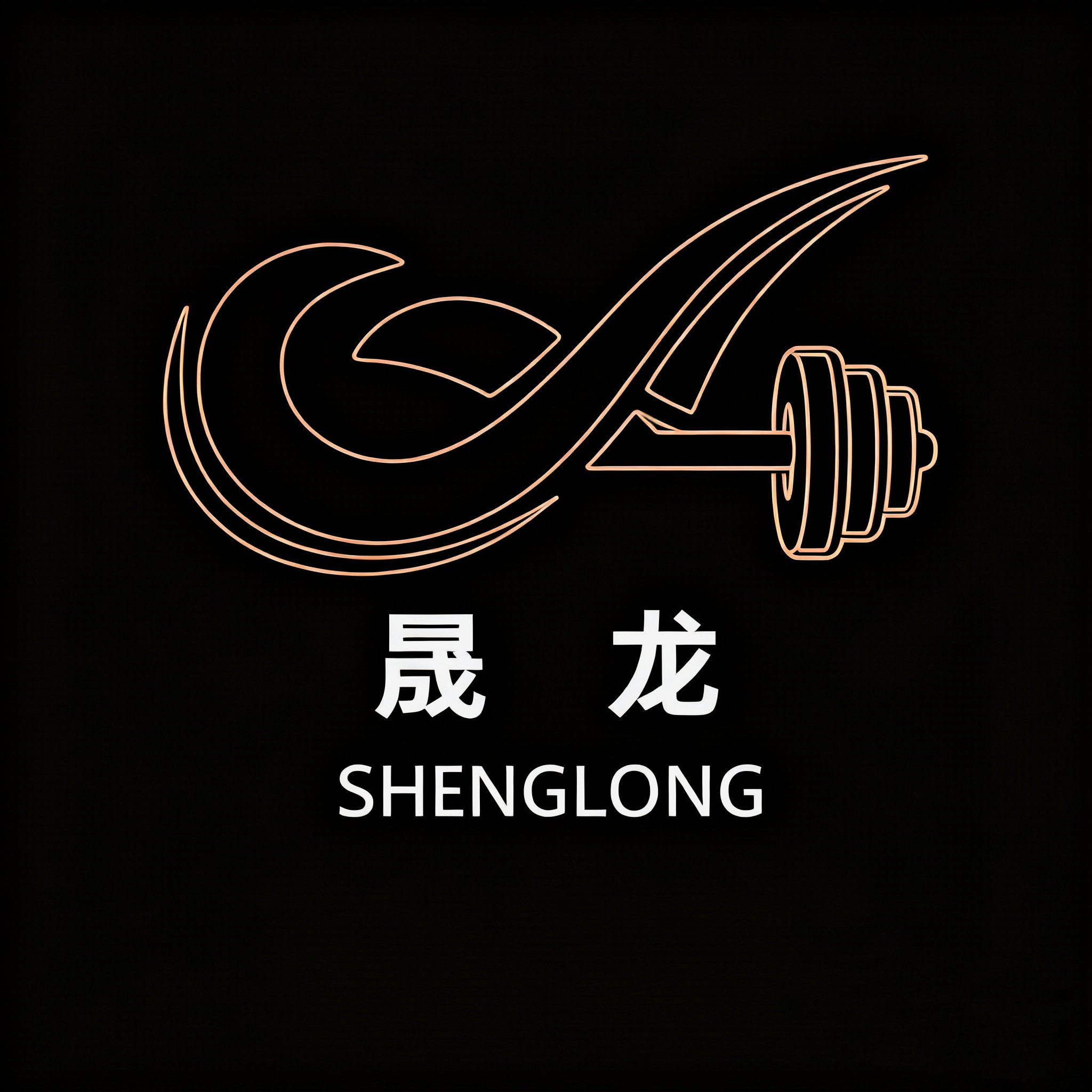 晟龙运动旗舰店
