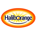 Haliborange海外旗舰店 店铺LOGO