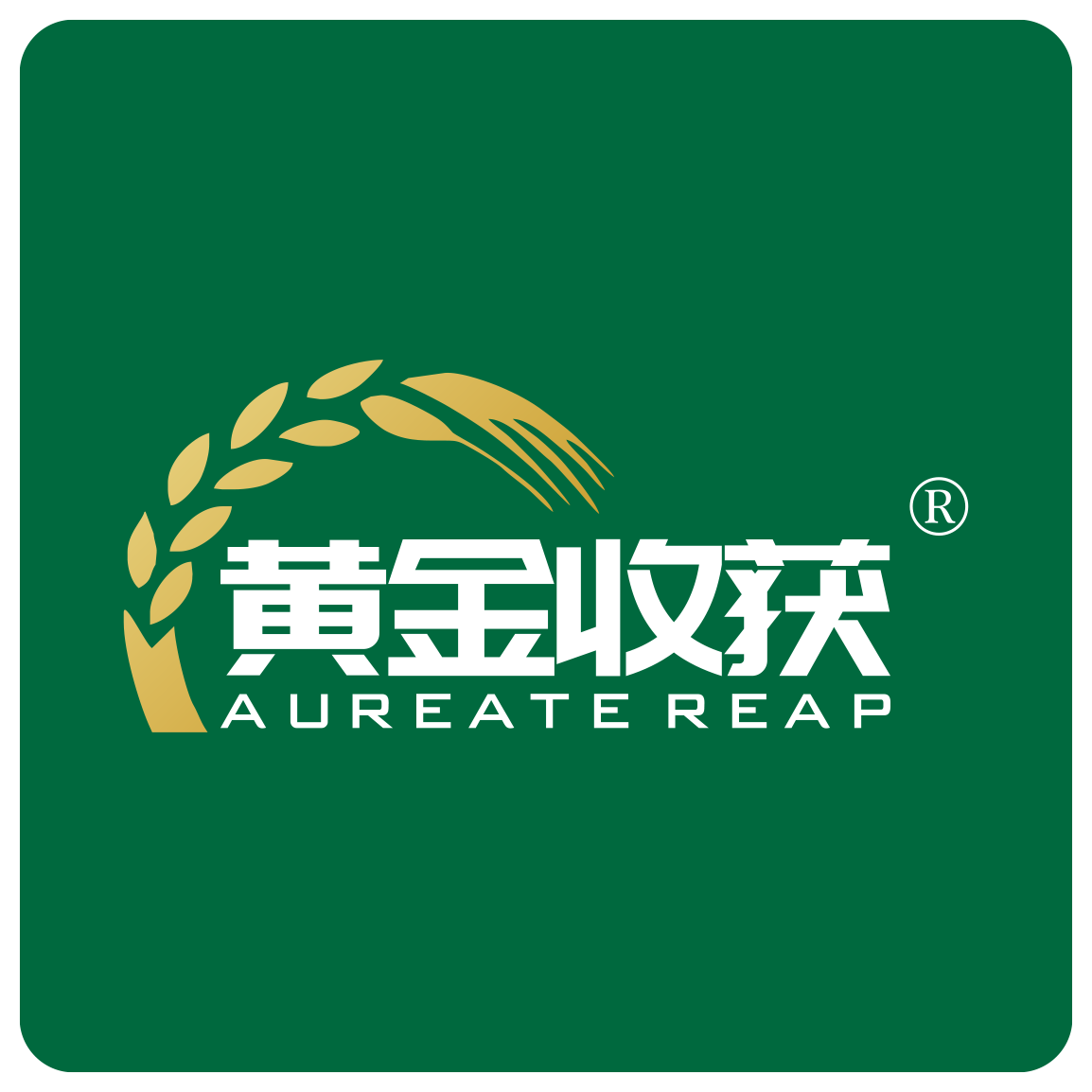 黄金收获旗舰店