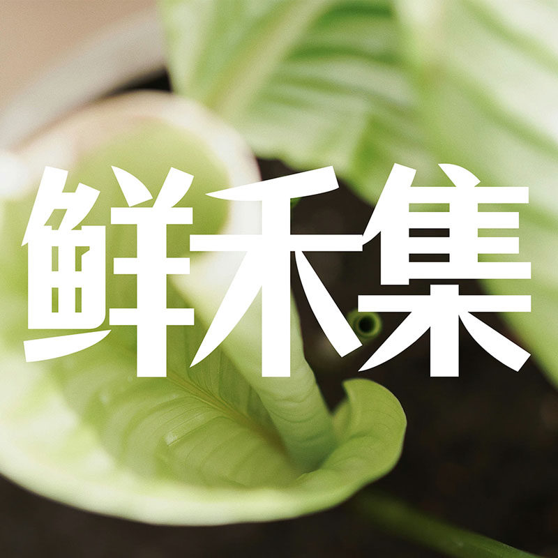 鲜禾集