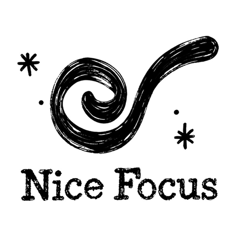 NICE FOCUS旗舰店