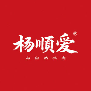 杨顺爱官方企业店 店铺LOGO