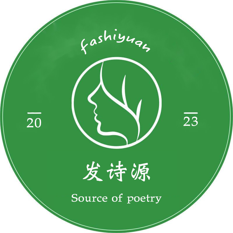 发诗源假发旗舰店