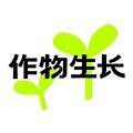 作物生长园艺旗舰店