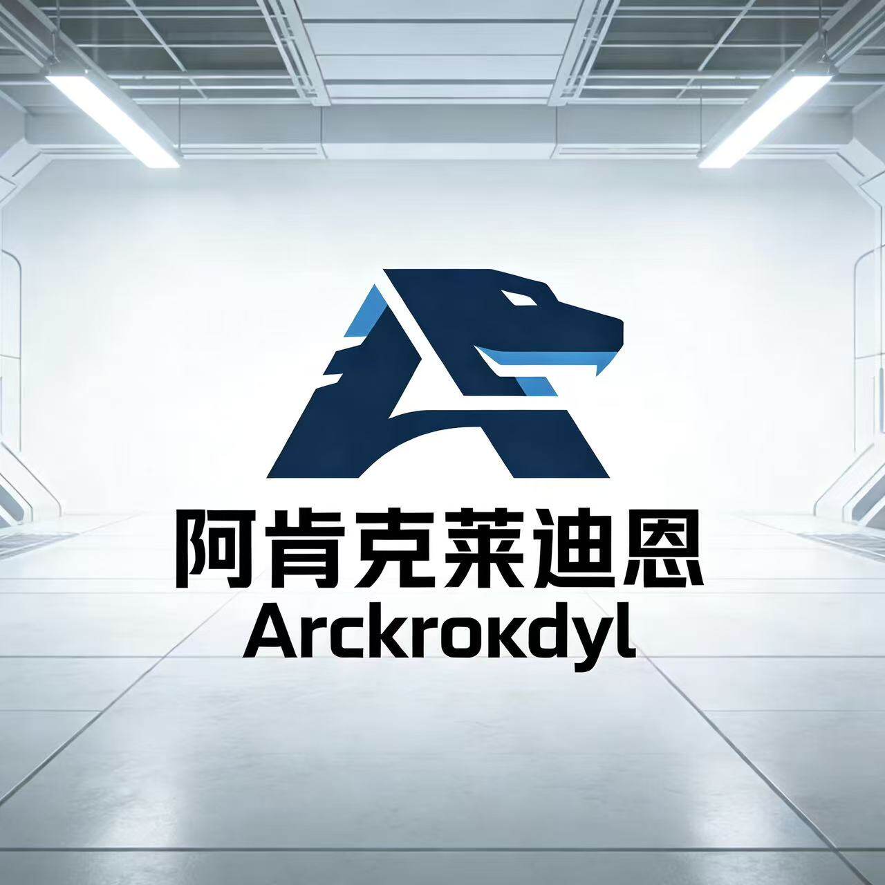 阿肯克莱迪恩旗舰店