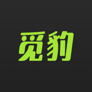 AIJolly觅豹运动相机店
