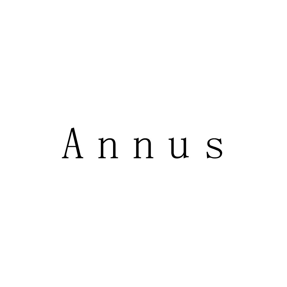 annus旗舰店