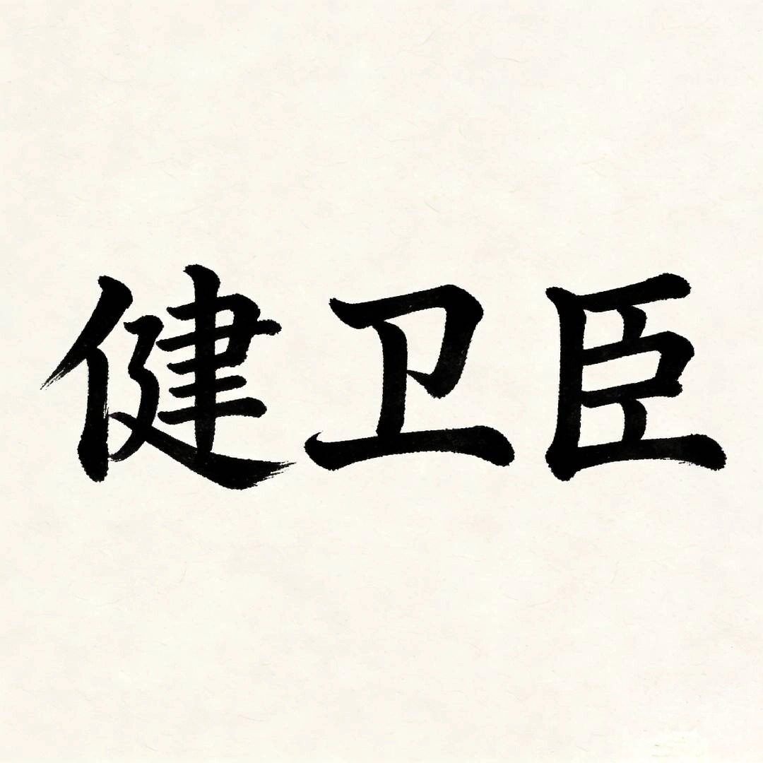 健卫臣旗舰店