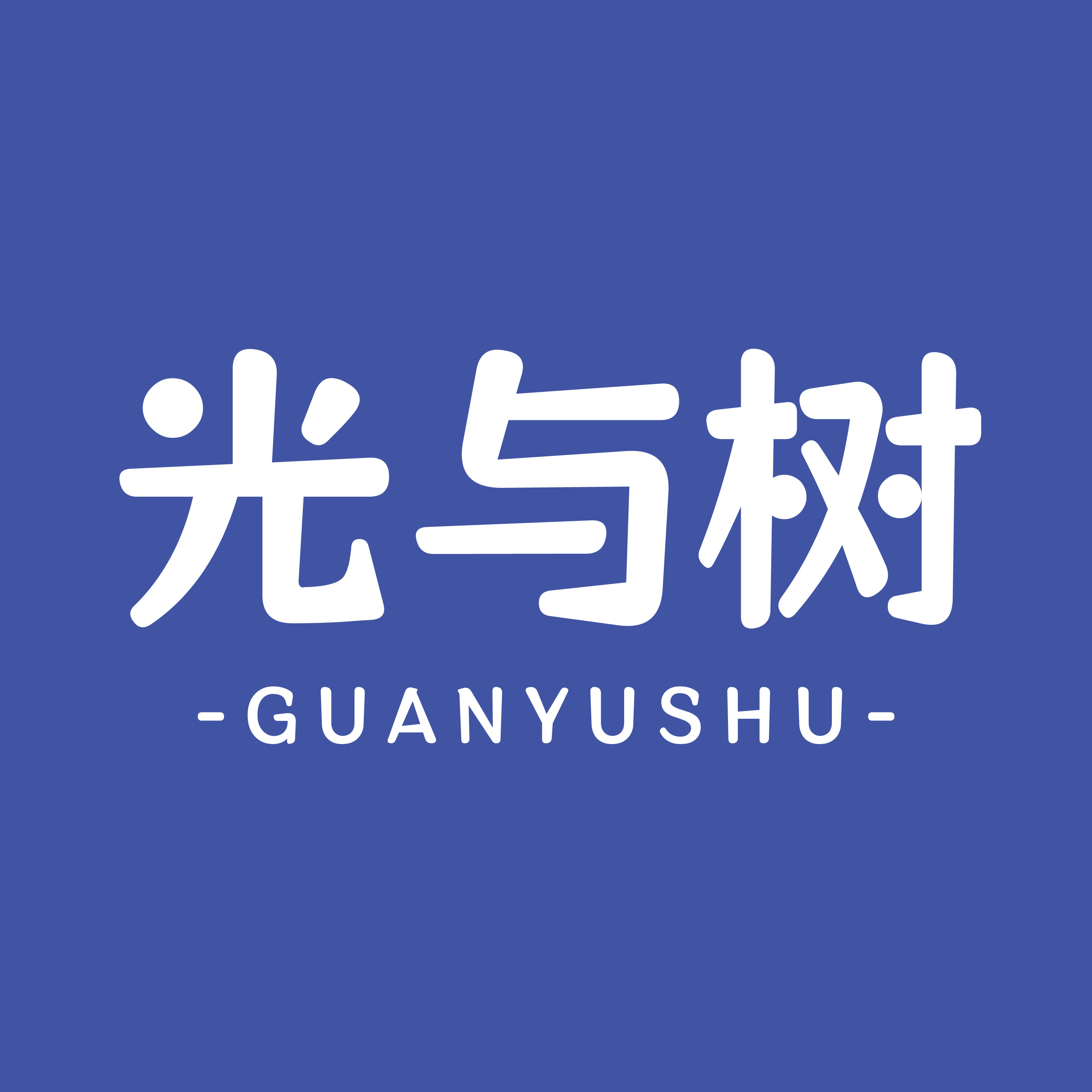 光与树旗舰店