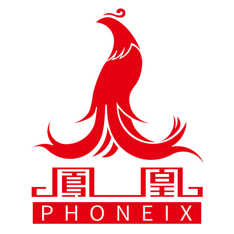 凤凰电动车装备旗舰店