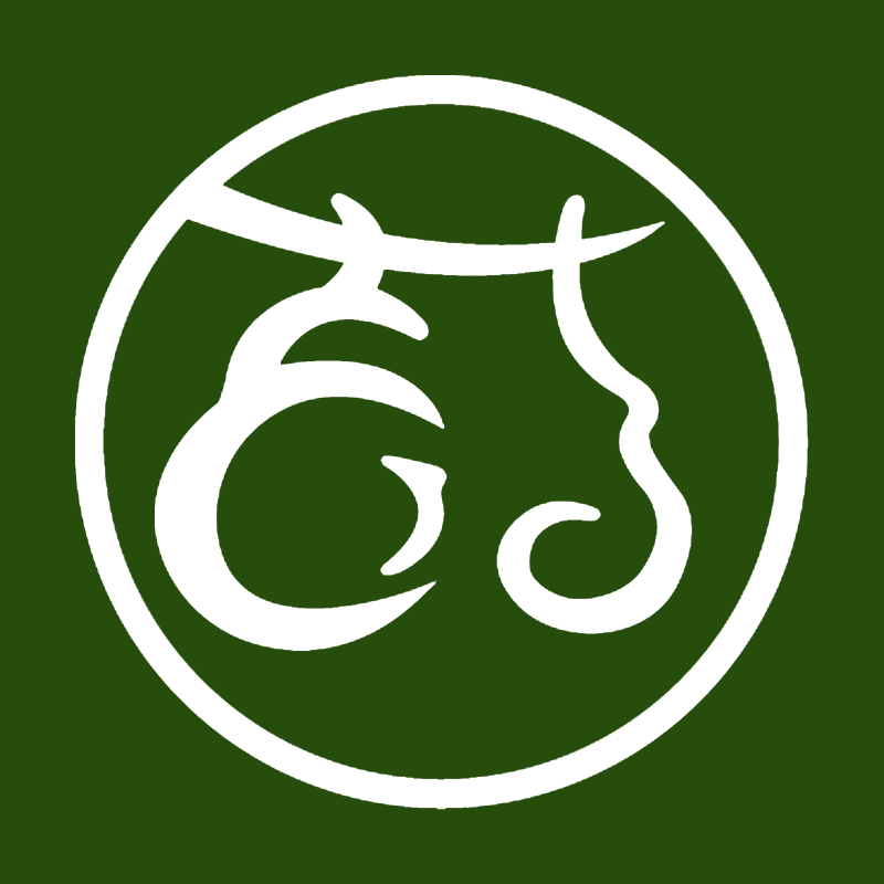 药鼎旗舰店