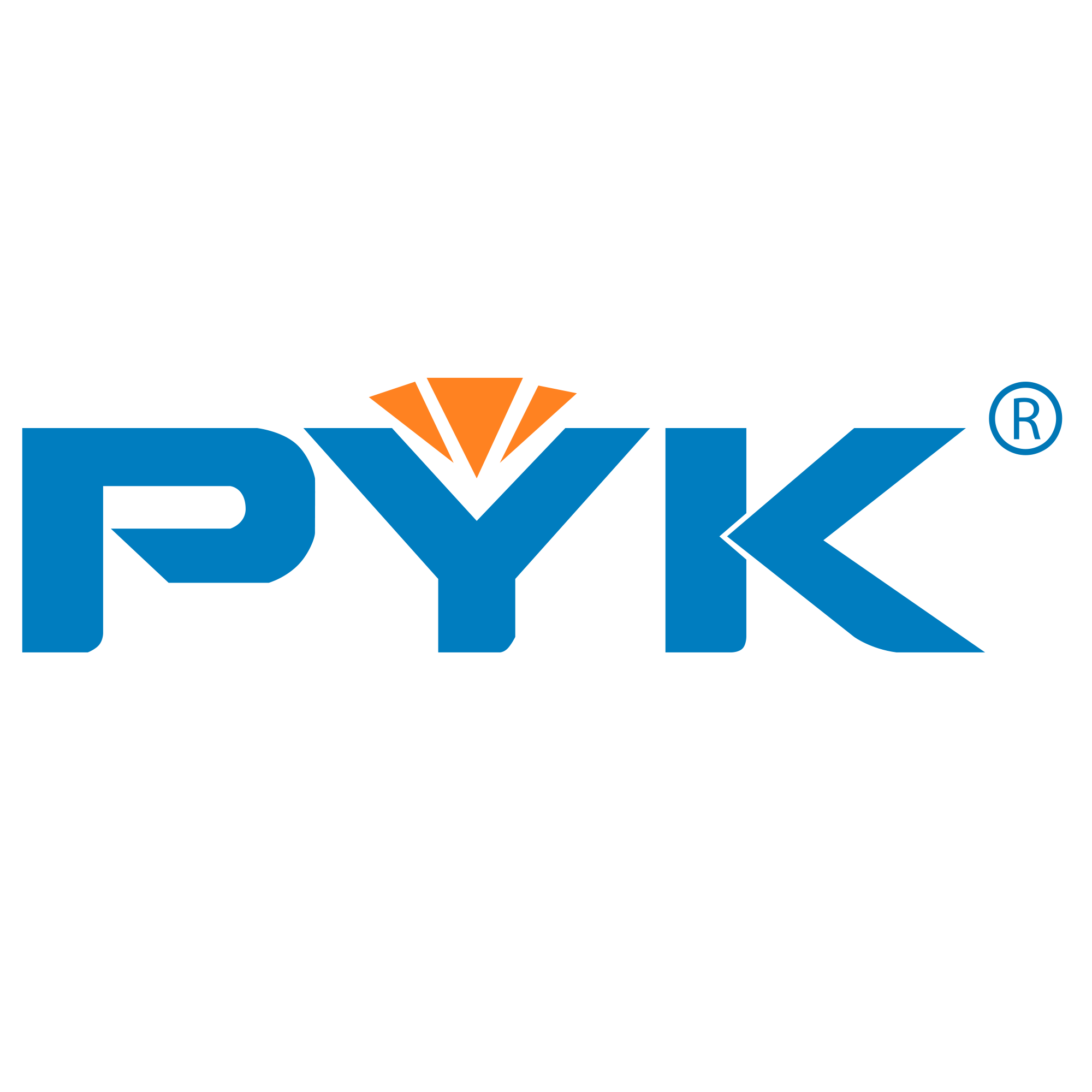 PYK旗舰店
