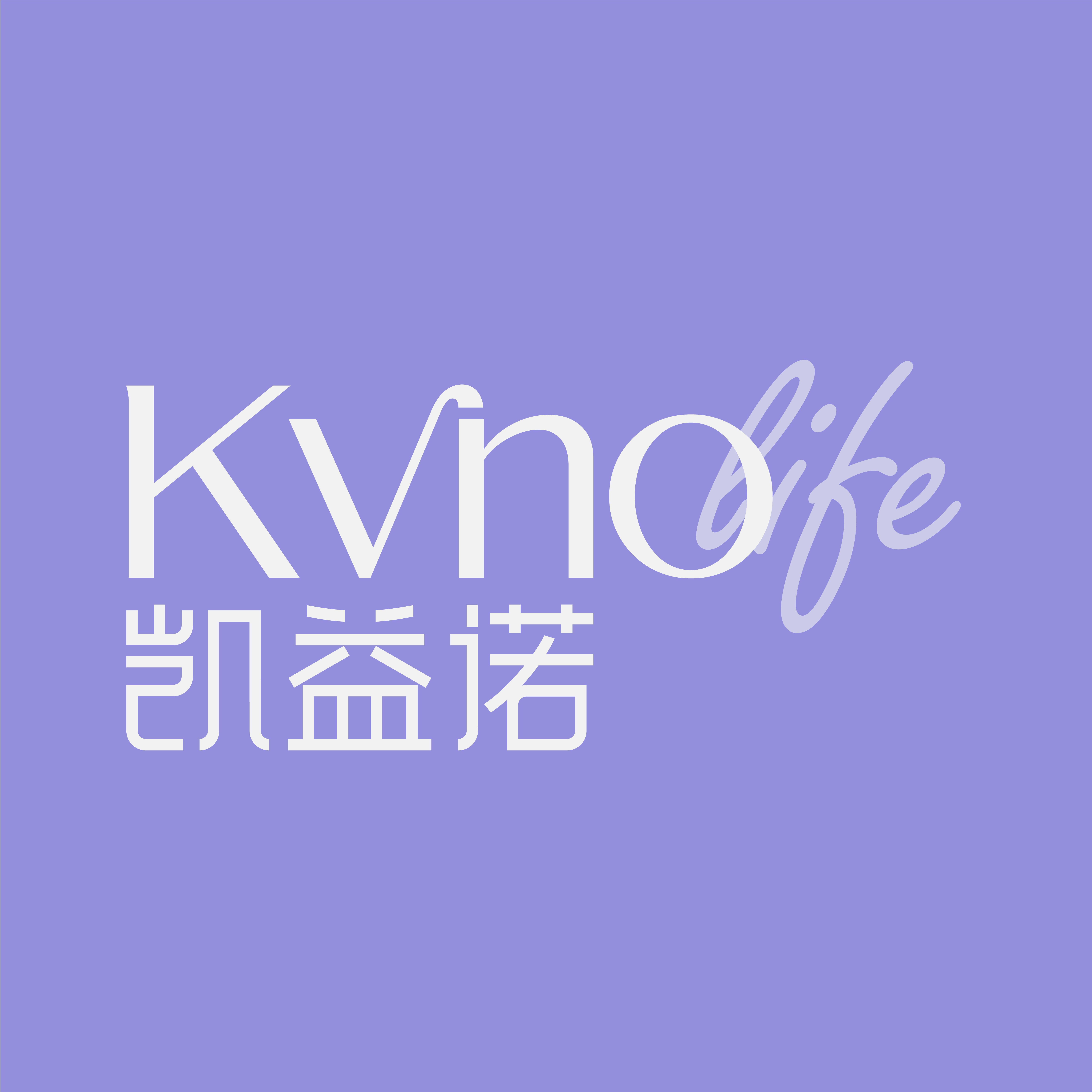 凯益诺旗舰店