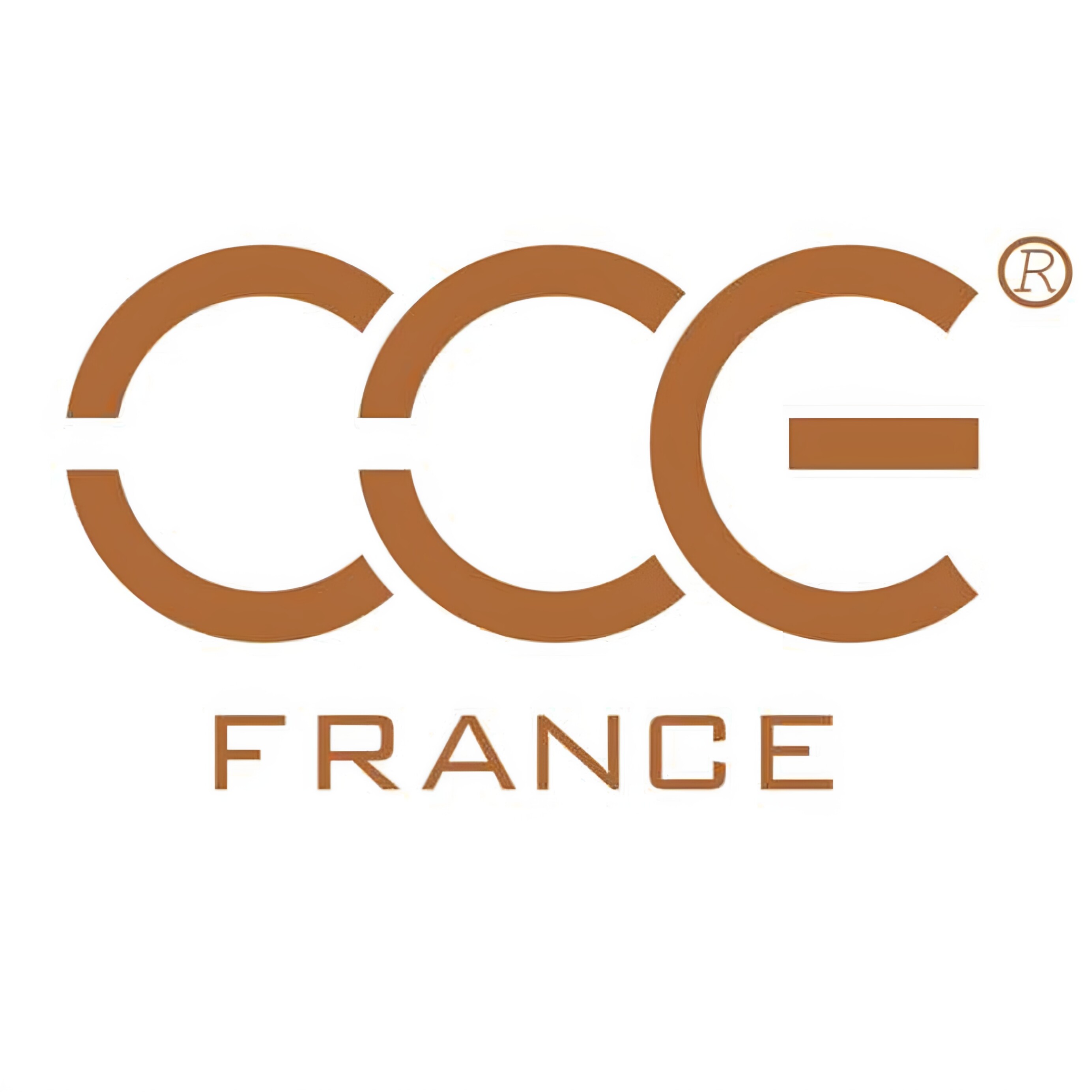 CCE善途专卖店