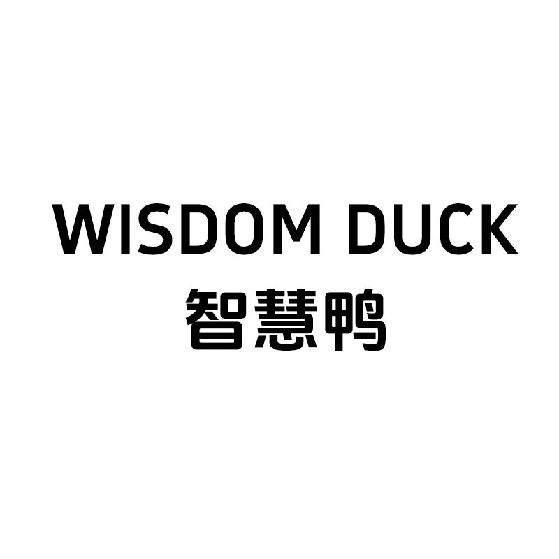 WISDOMDUCK车品旗舰店